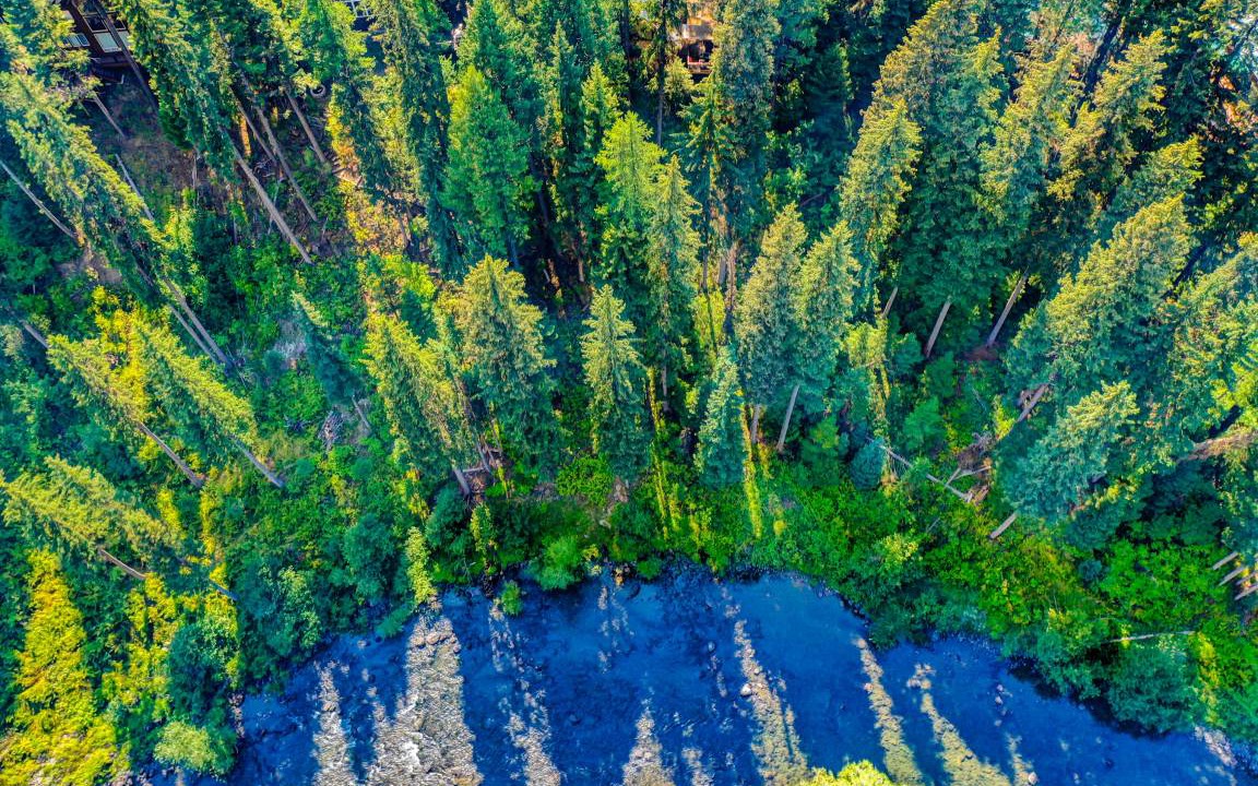 Photo of Others in McCall