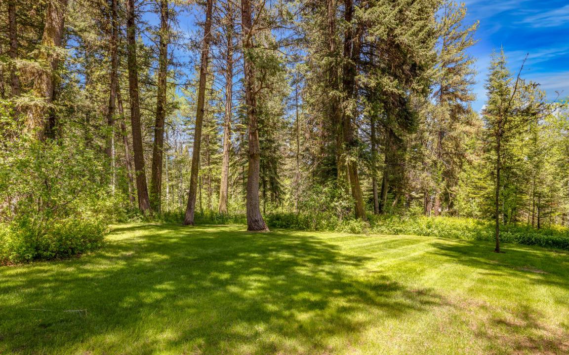 Photo of Others in McCall