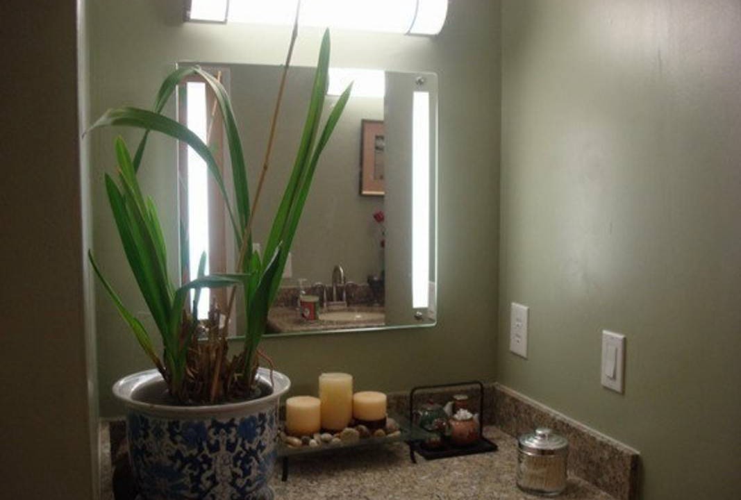Photo of Bathroom in South Forest Park