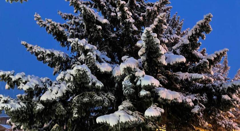 Photo of Outdoor in Jackson