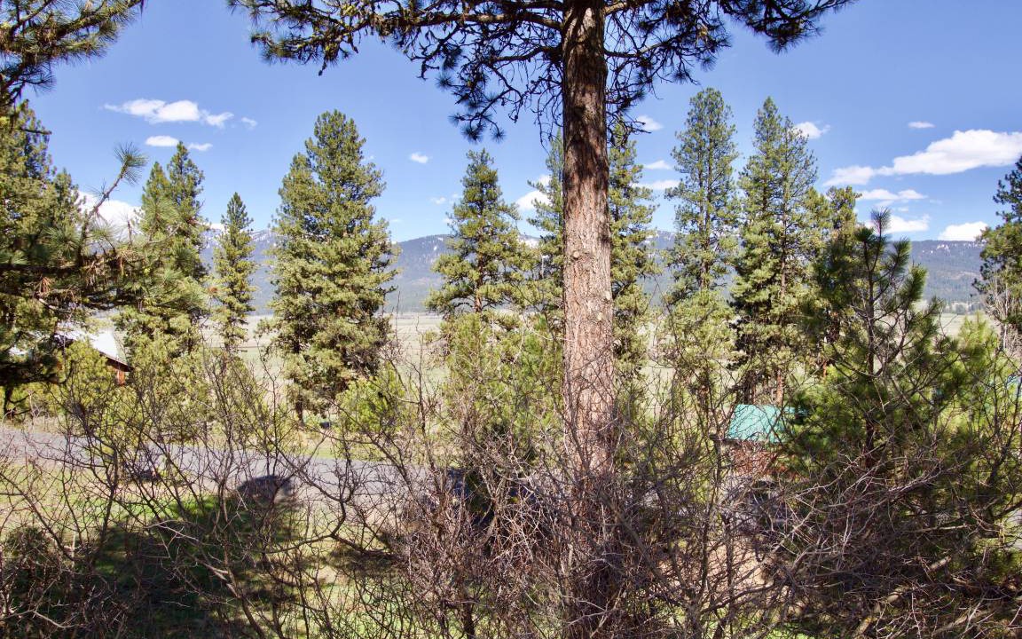 Photo of Others in New Meadows