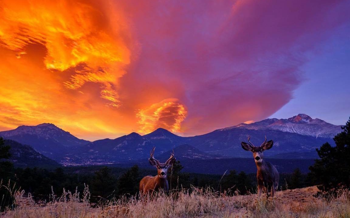 Photo of Others in Estes Park