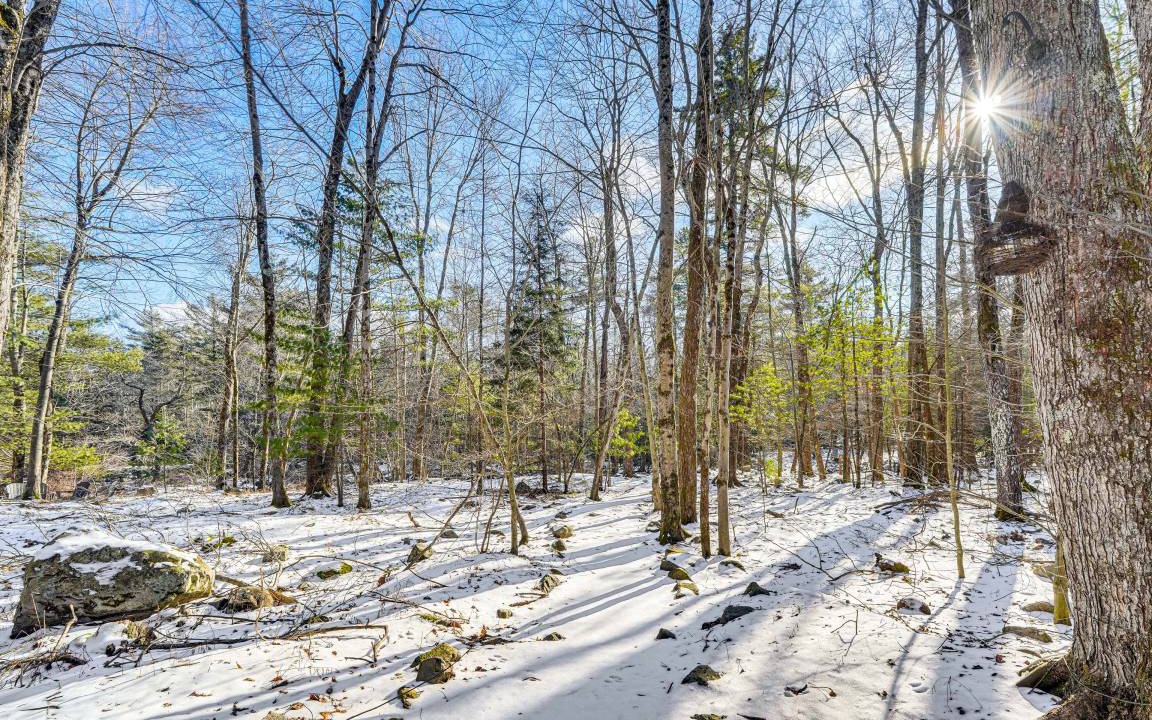 Photo of Others in Pocono Pines
