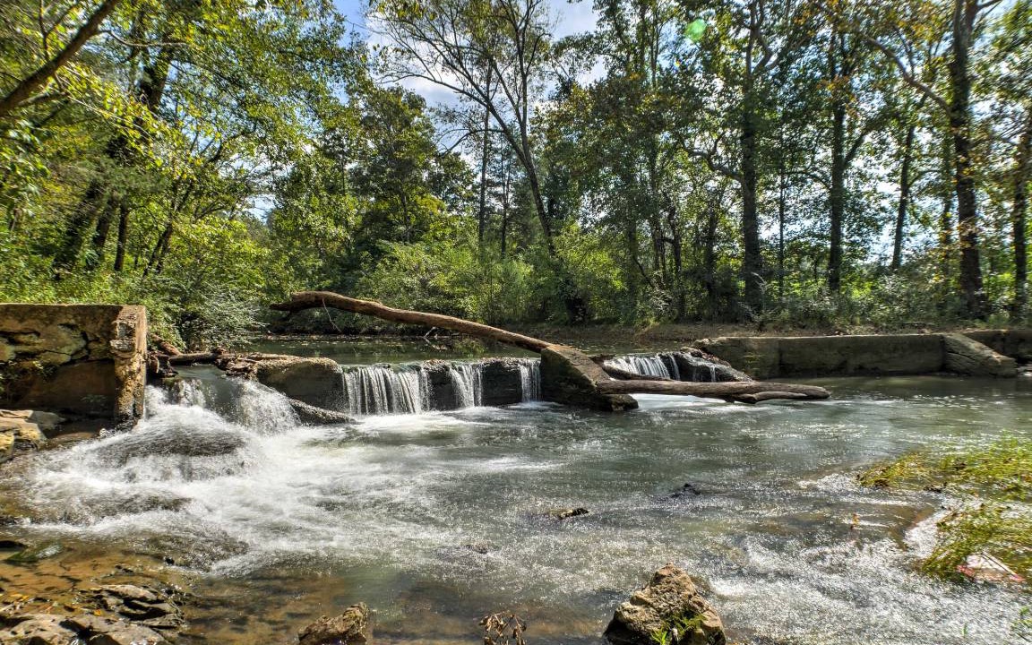 Photo of Others in Ooltewah