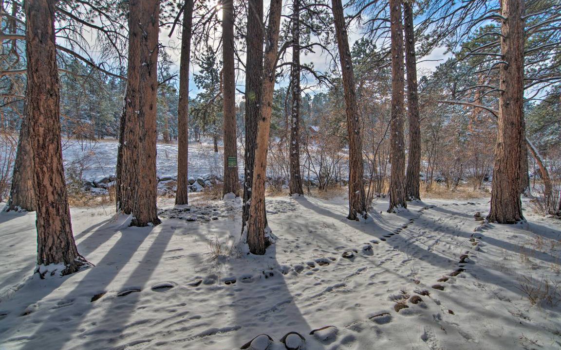 Photo of Others in Estes Park