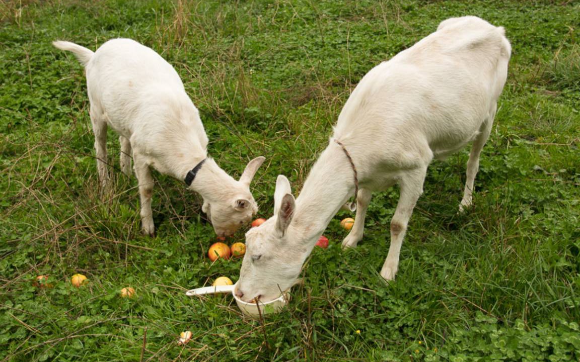 Photo of Others in Washington County