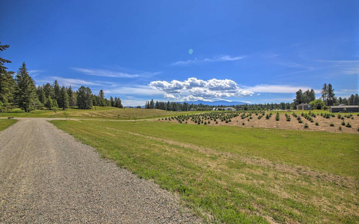 Photo of Others in Bonners Ferry