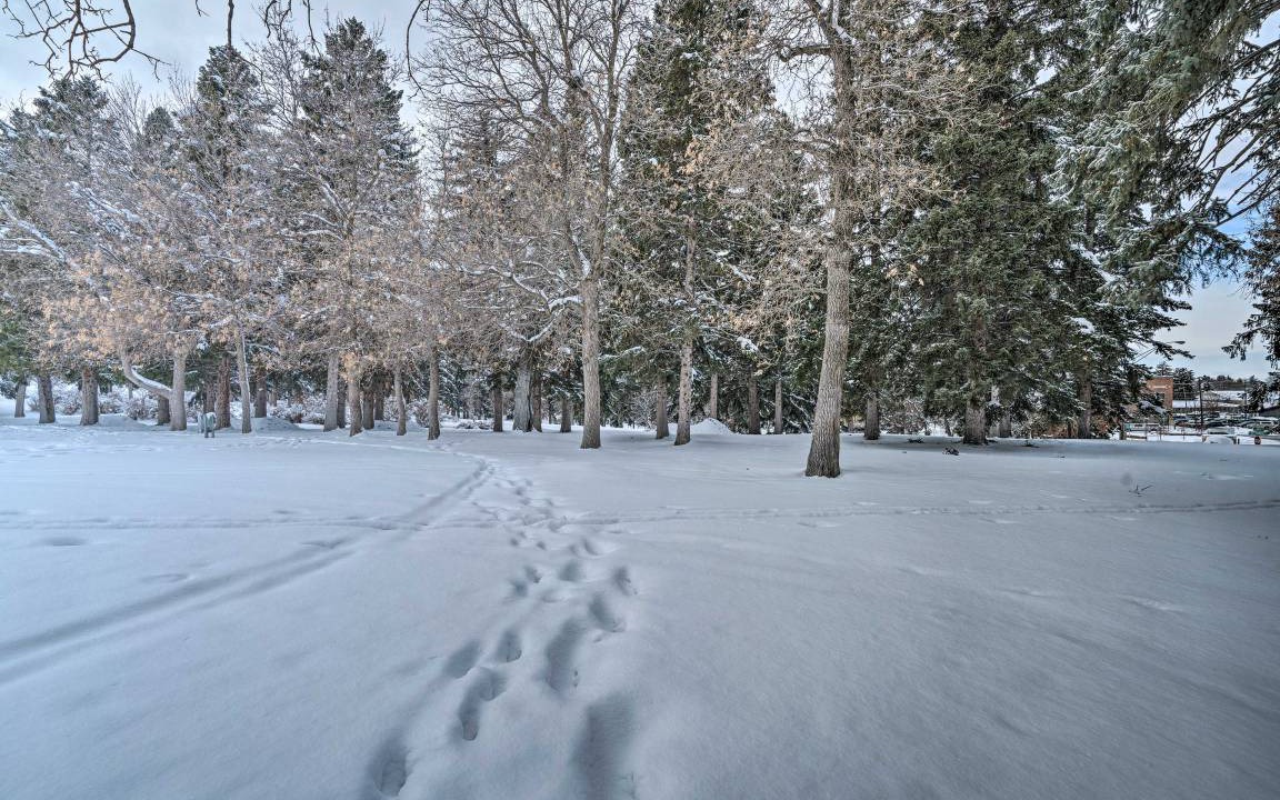 Photo of Others in Bozeman