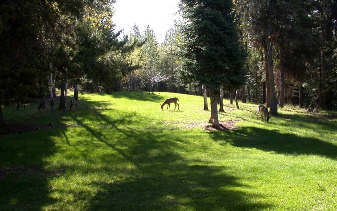 Photo of Others in Condon