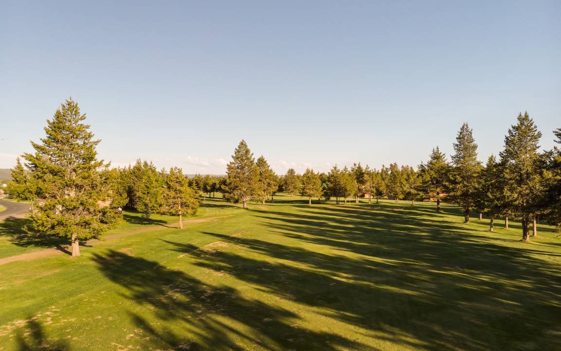Photo of Others in Island Park
