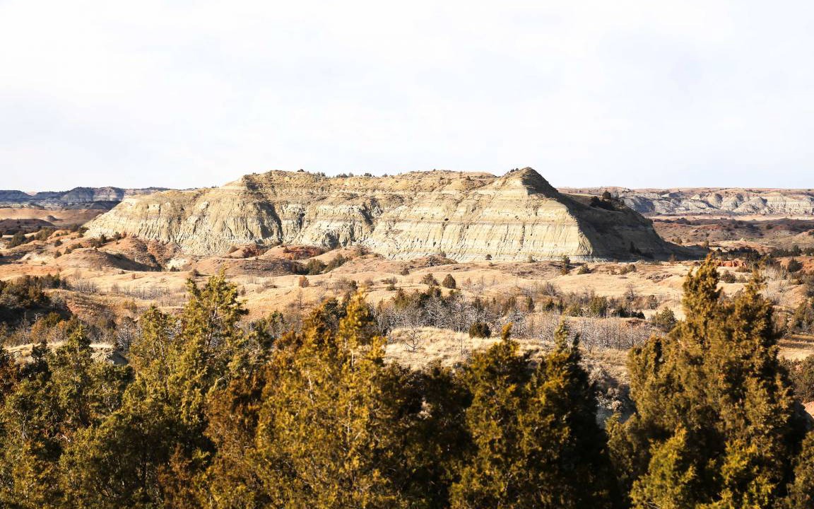 Photo of Others in Medora