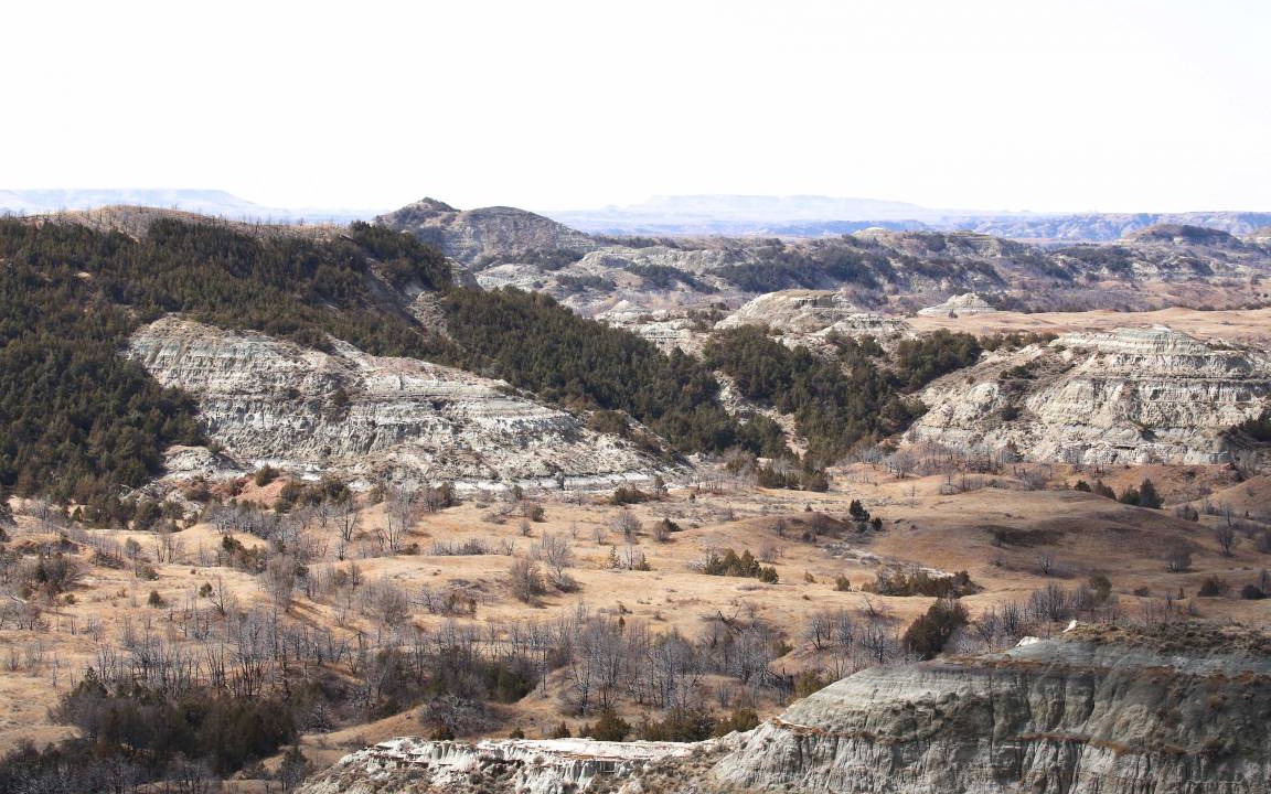 Photo of Others in Medora