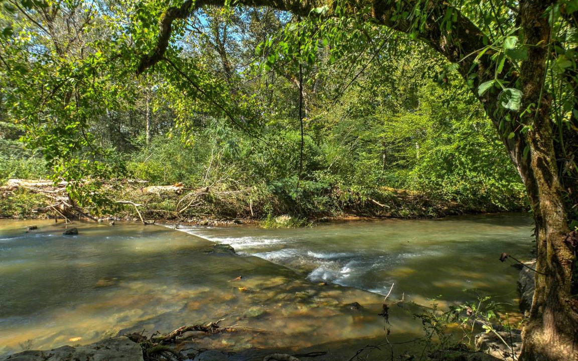 Photo of Others in Ooltewah