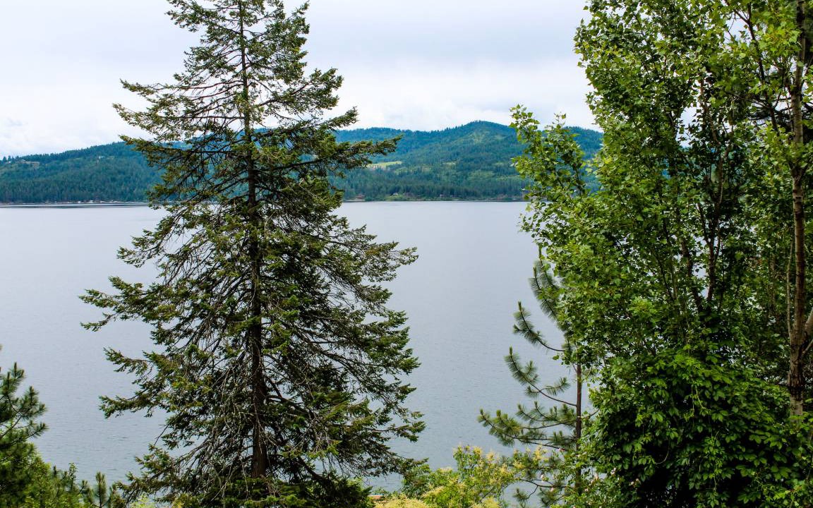 Photo of Others in Coeur d'Alene