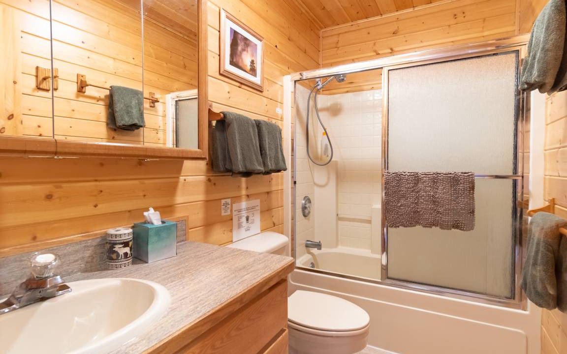 Photo of Bathroom in Island Park