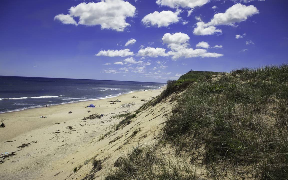 Photo of Others in Wellfleet