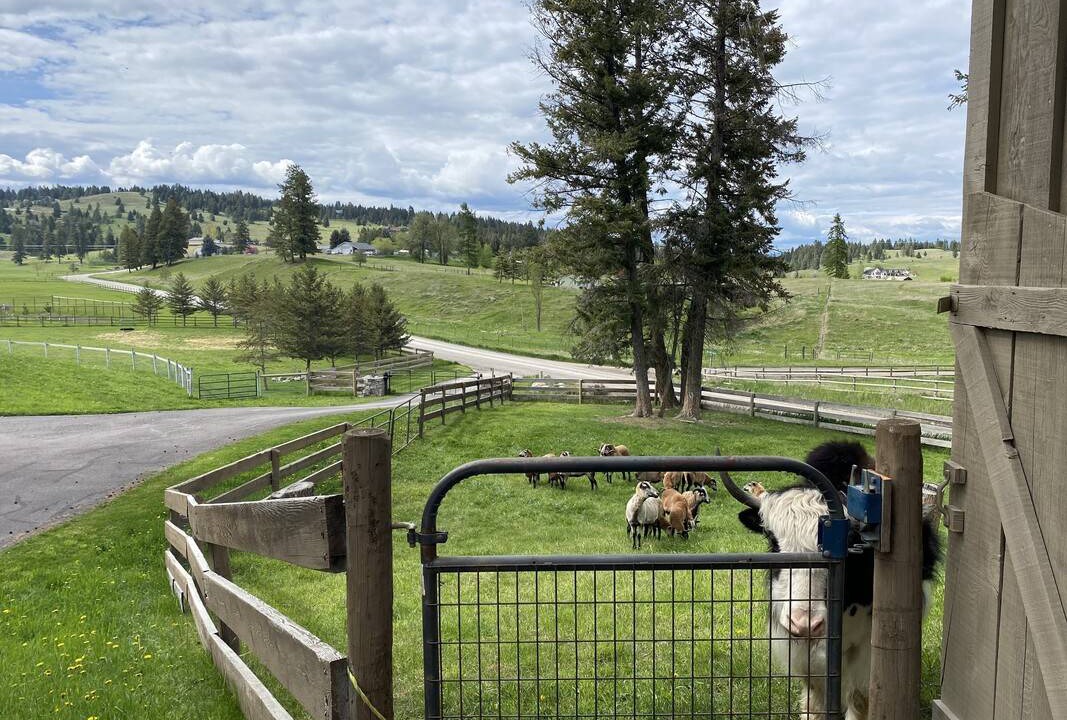 Photo of Others in Kalispell