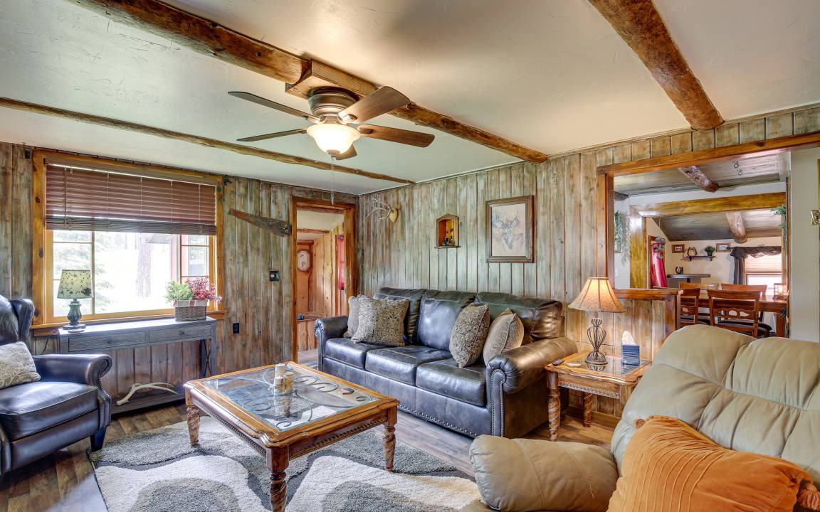 Photo of Livingroom in Sturgis