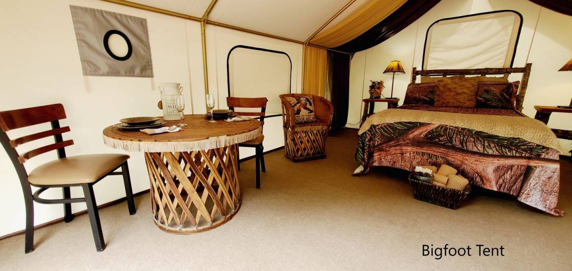 Photo of Bedroom in Lilliwaup