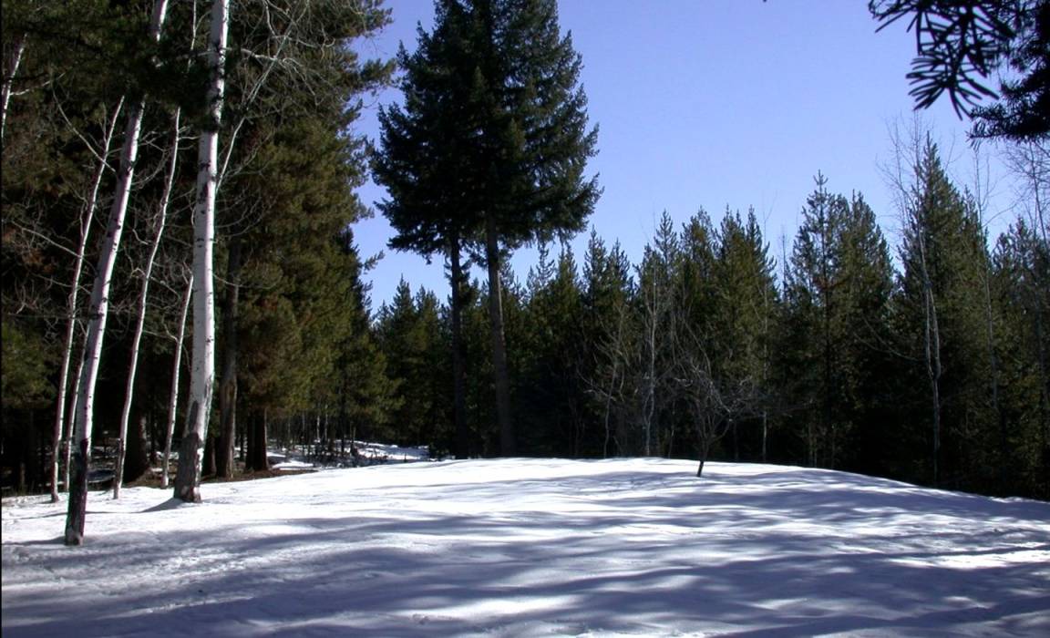 Photo of Others in Condon