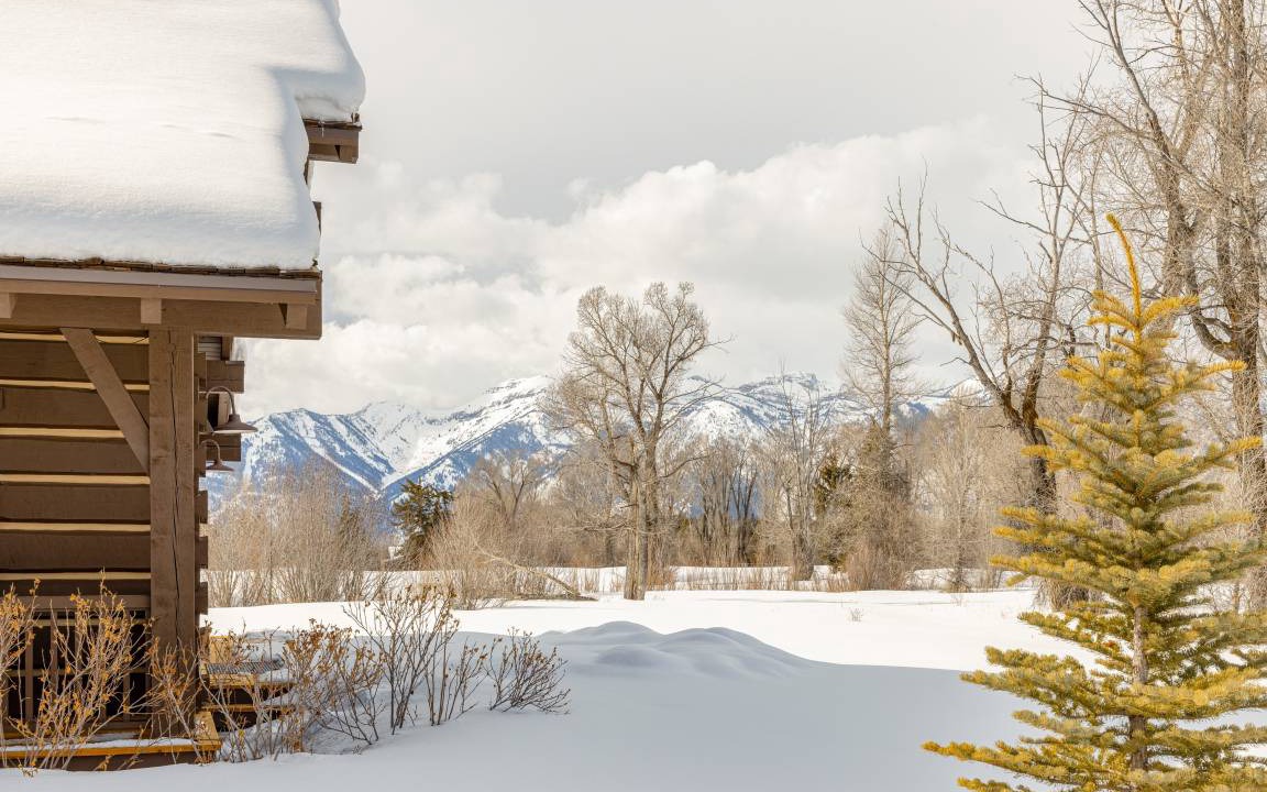 Photo of Others in Jackson Hole