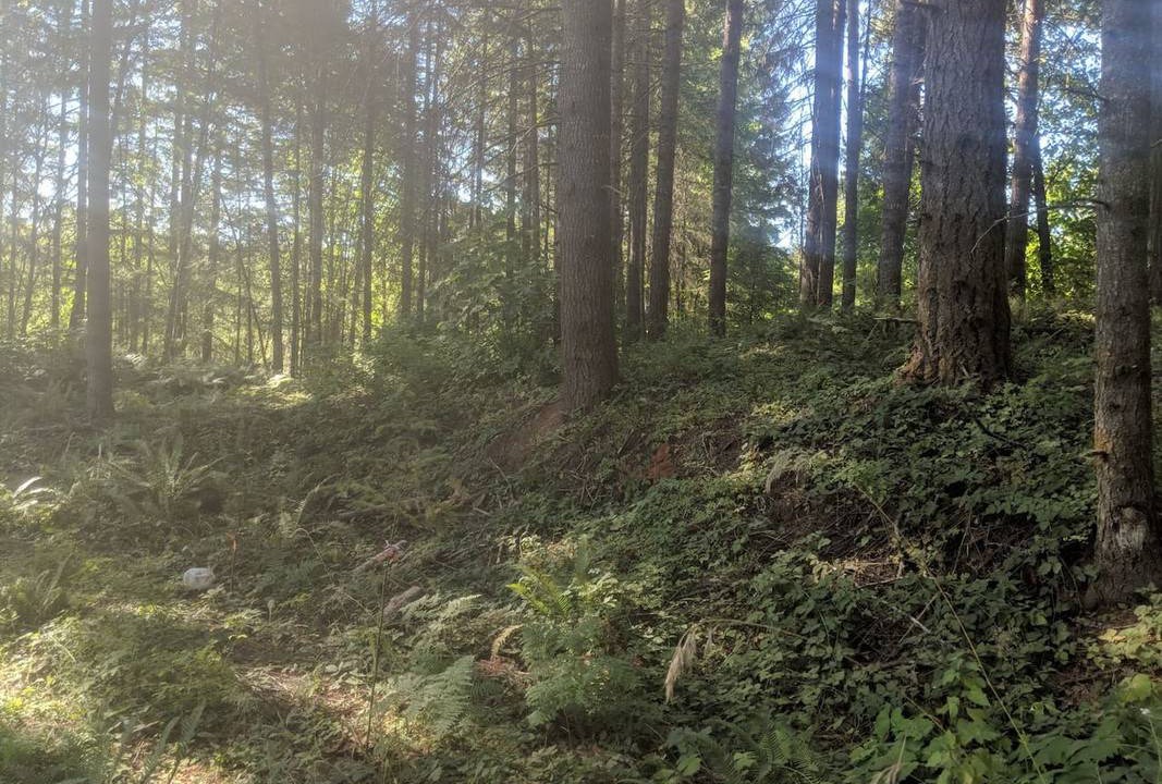 Photo of Others in Washington County