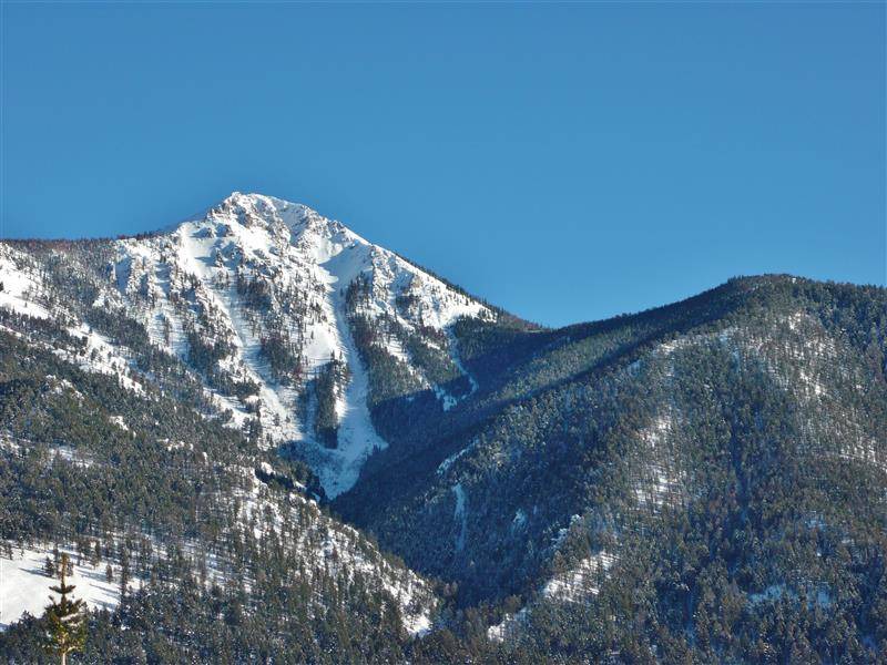 Photo of Others in Cameron