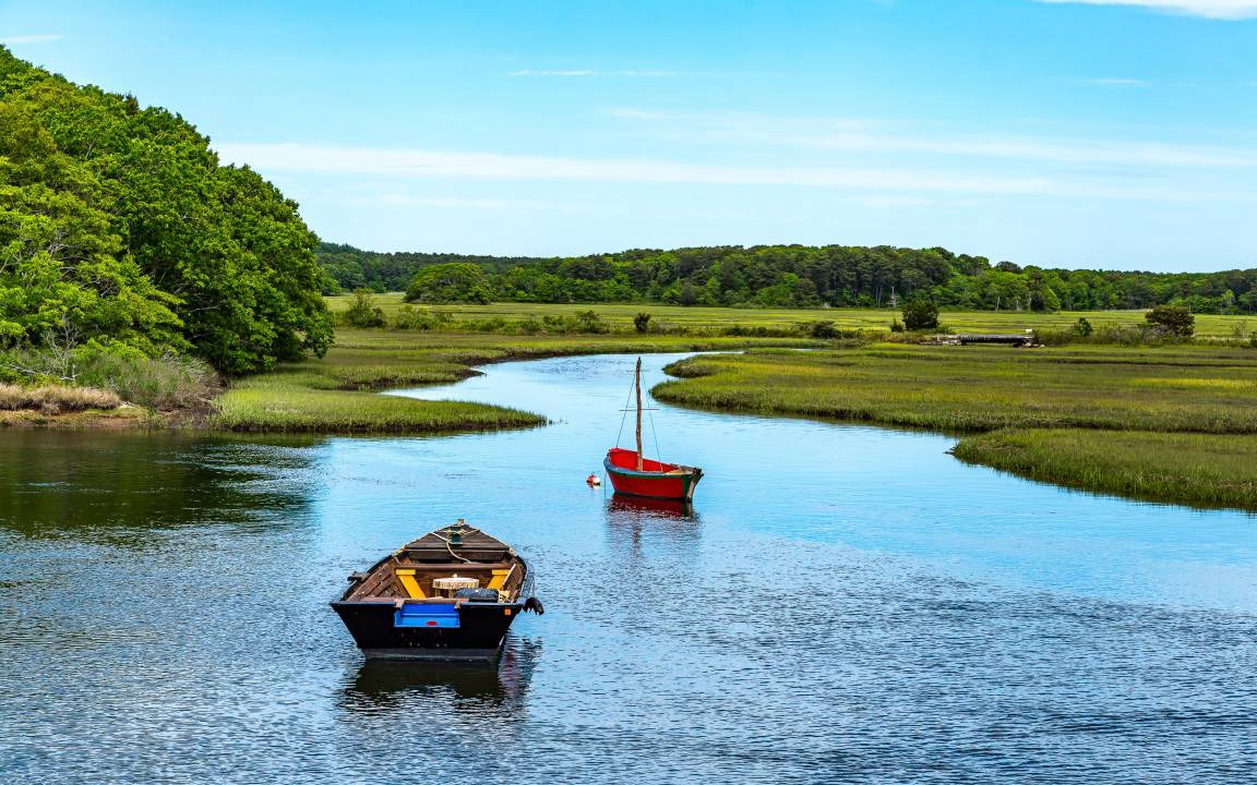 Photo of Others in Wellfleet