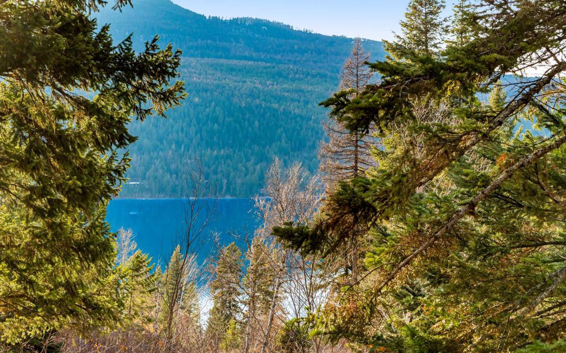 Photo of Others in Bigfork