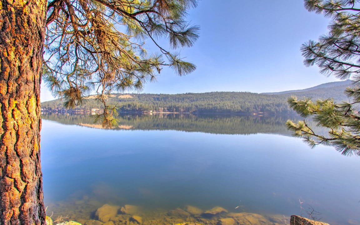 Photo of Others in Liberty Lake