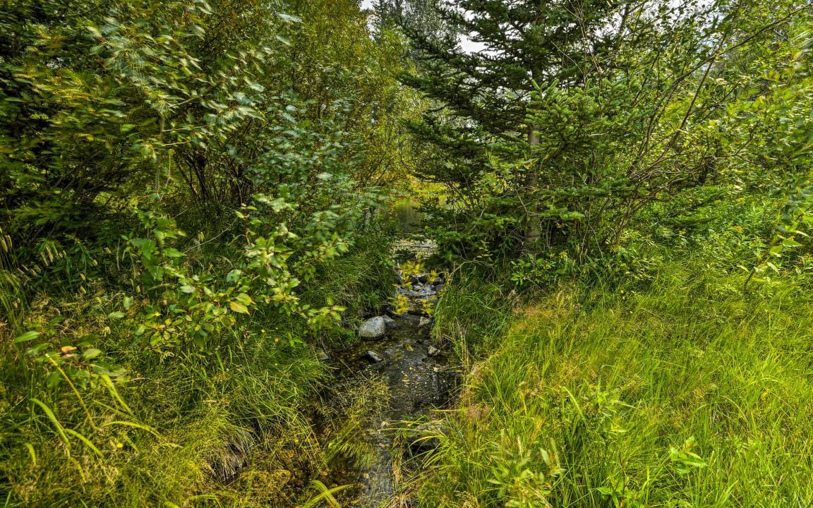 Photo of Outdoor in McLeod