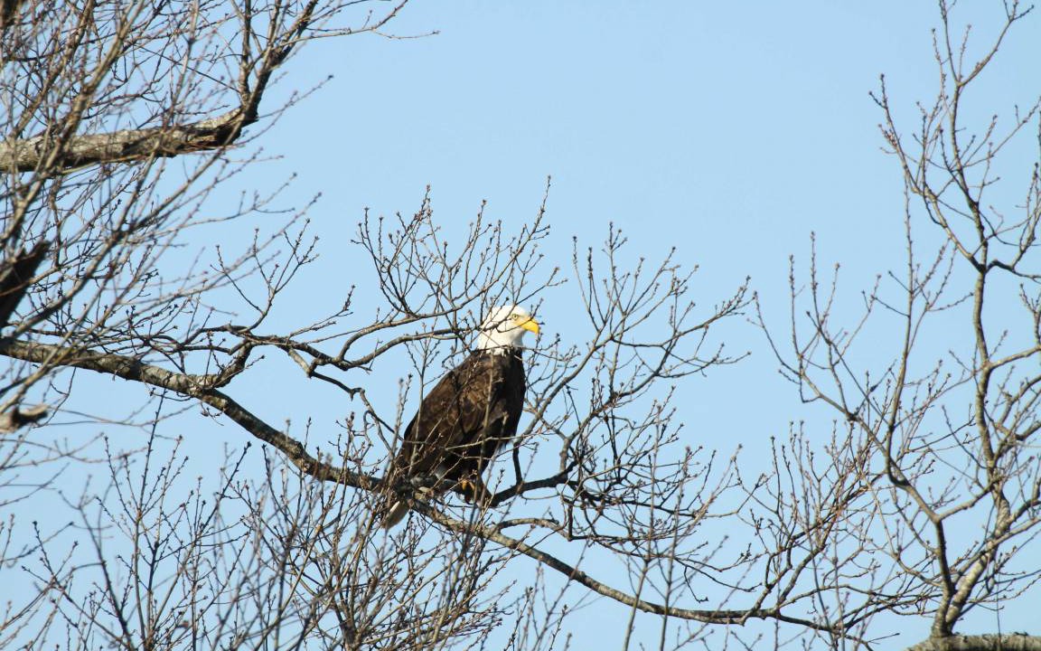 Photo of Others in Cotter