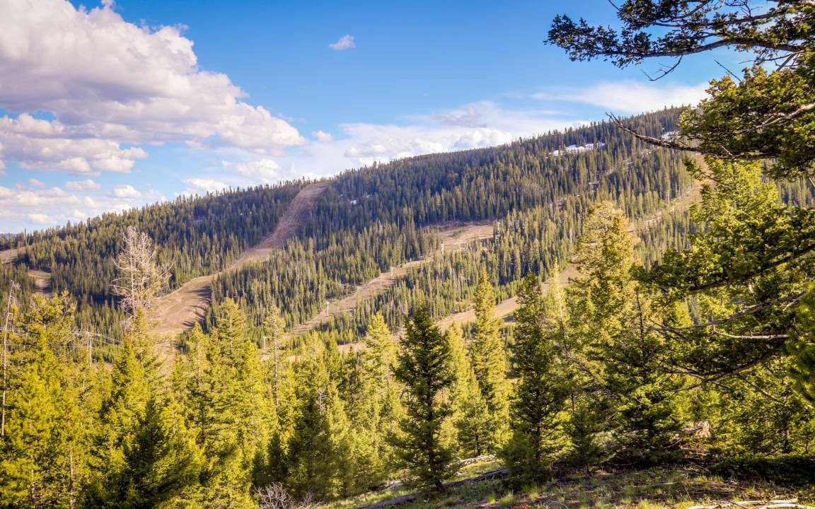 Photo of Others in Big Horn