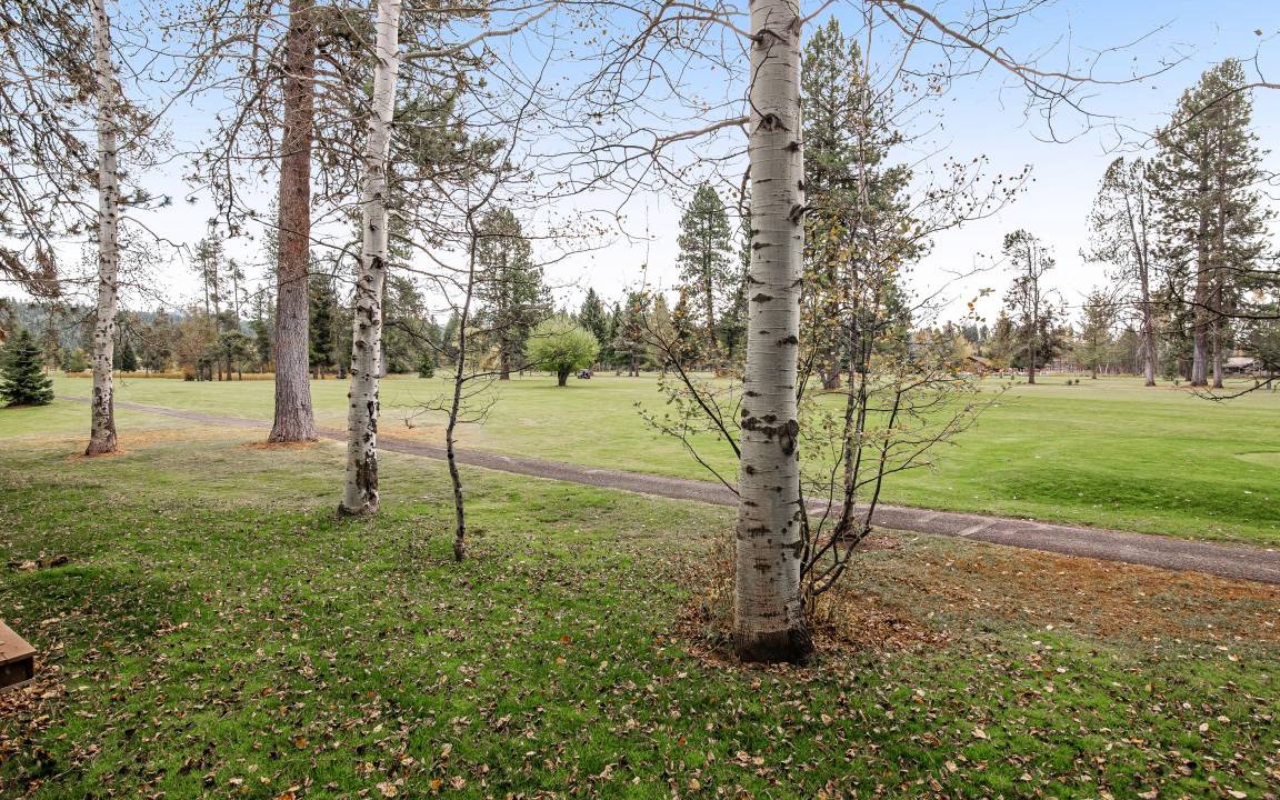 Photo of Others in McCall