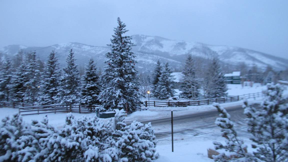 Photo of Others in Park Meadows