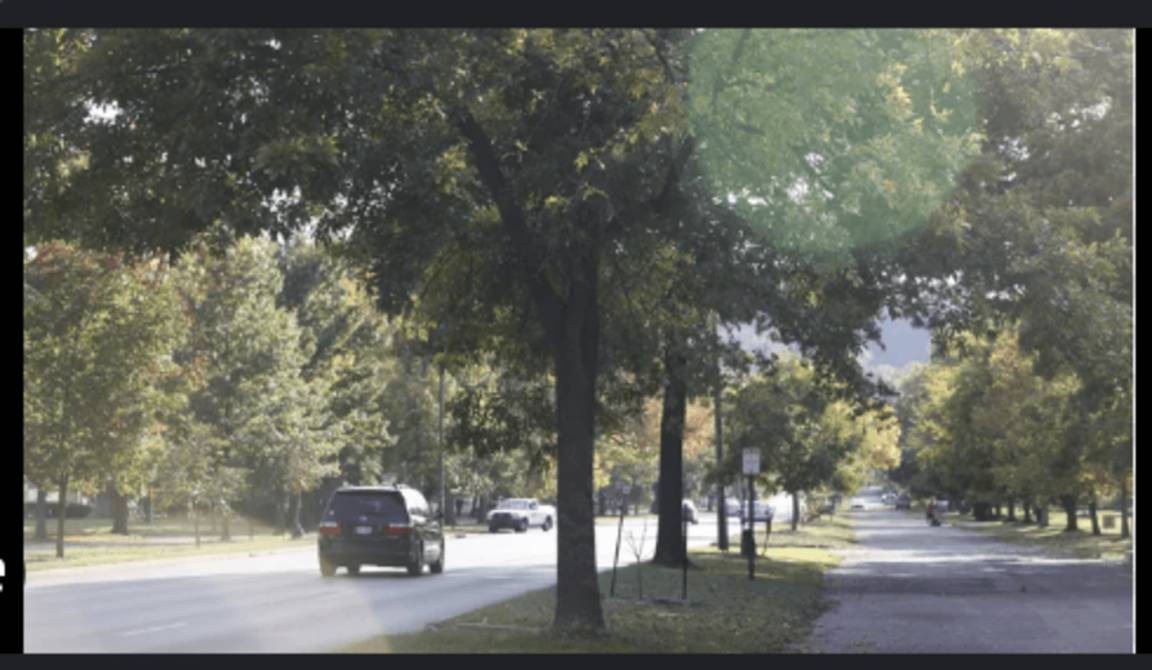 Photo of Others in Beechmont