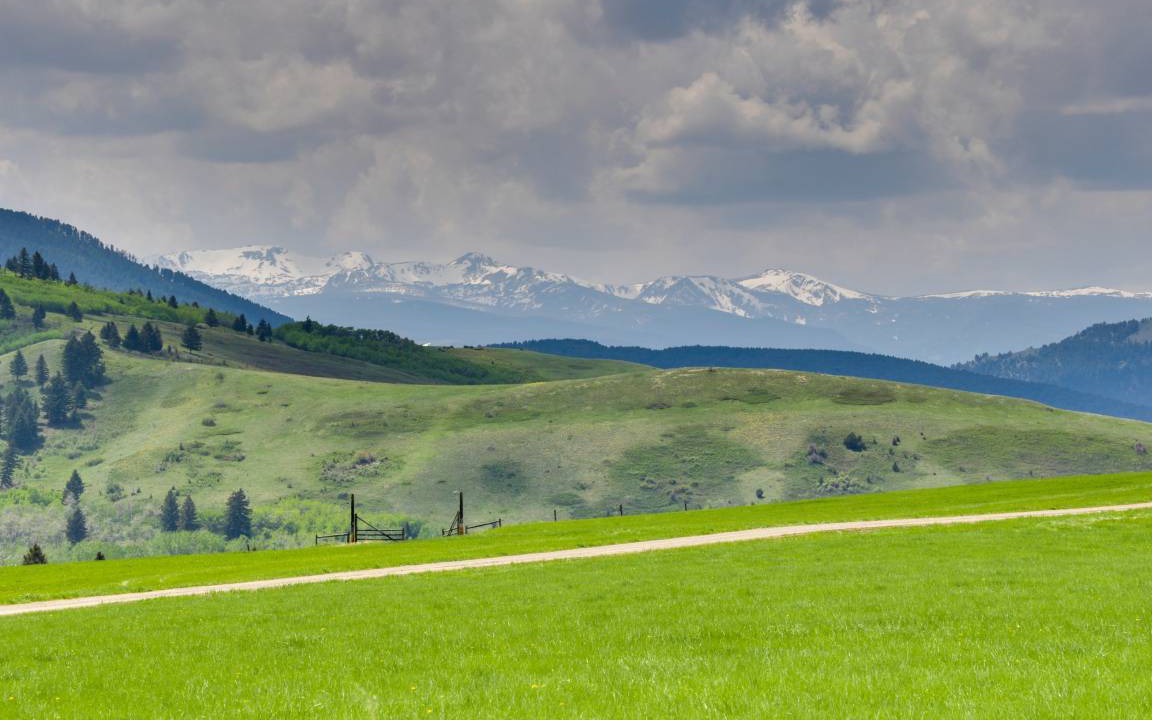 Photo of Others in Bozeman