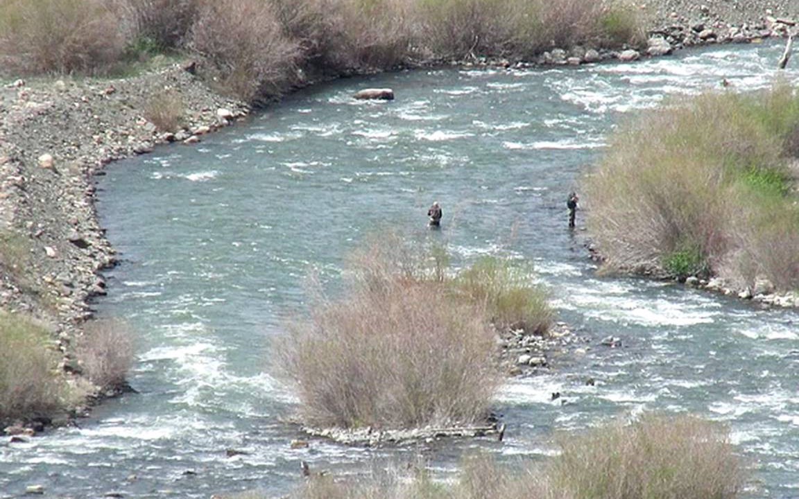 Photo of Others in Cameron