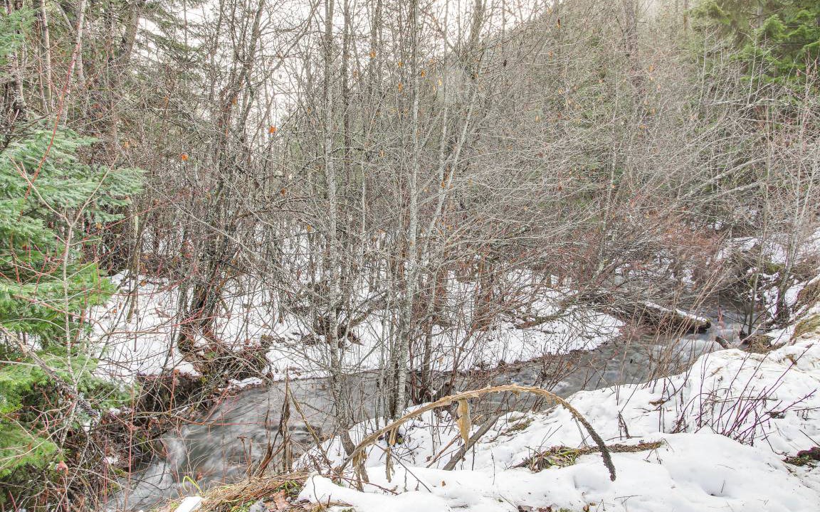 Photo of Others in Shoshone County