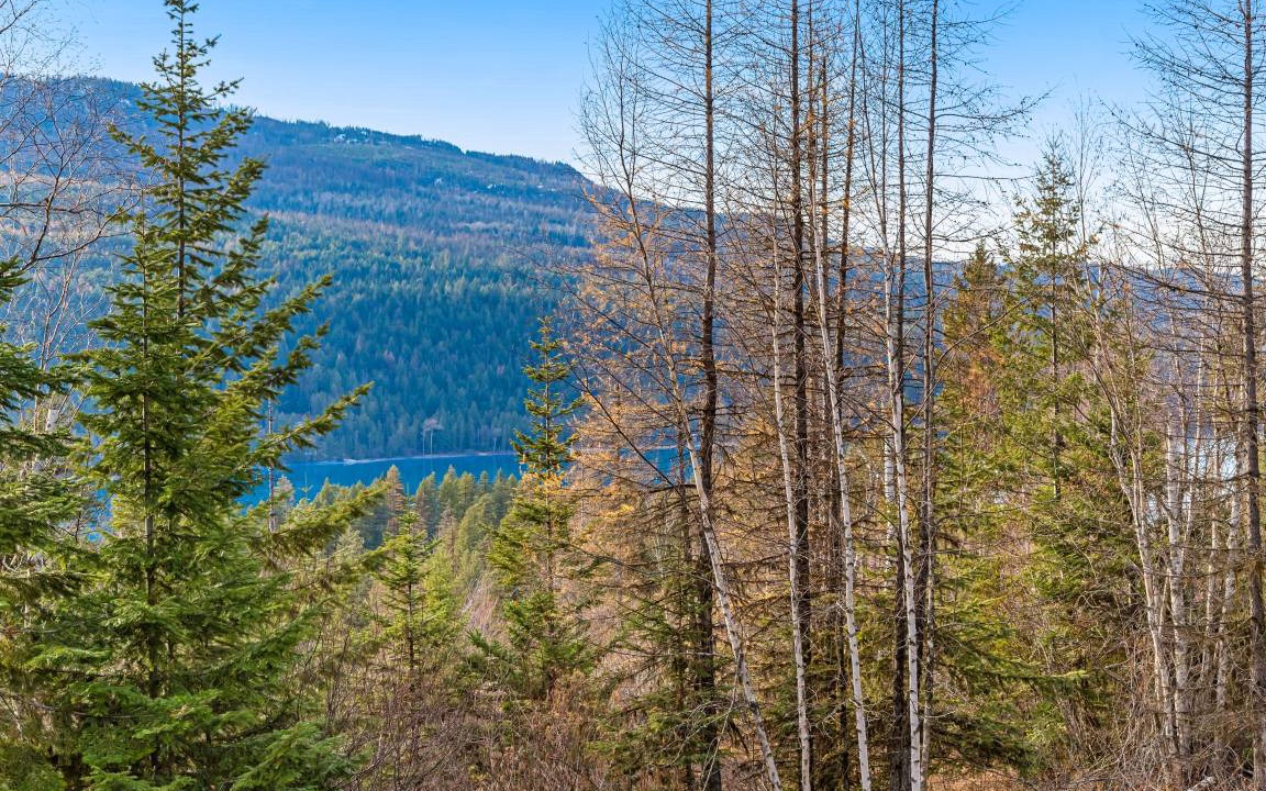 Photo of Others in Bigfork