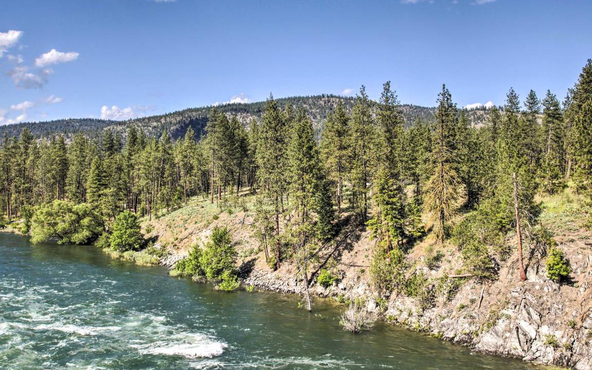 Photo of Others in Nine Mile Falls