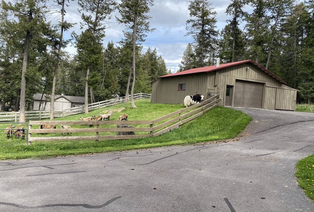 Photo of Others in Kalispell