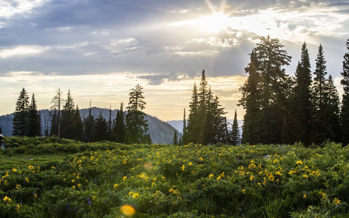 Photo of Others in Alpine Northwest