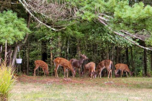 Photo of Others in Moshannon