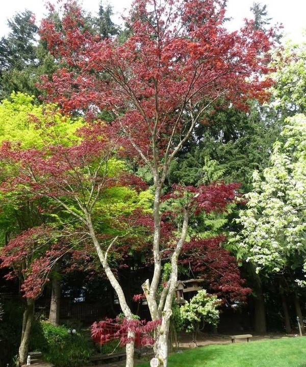 Photo of Outdoor in South Forest Park