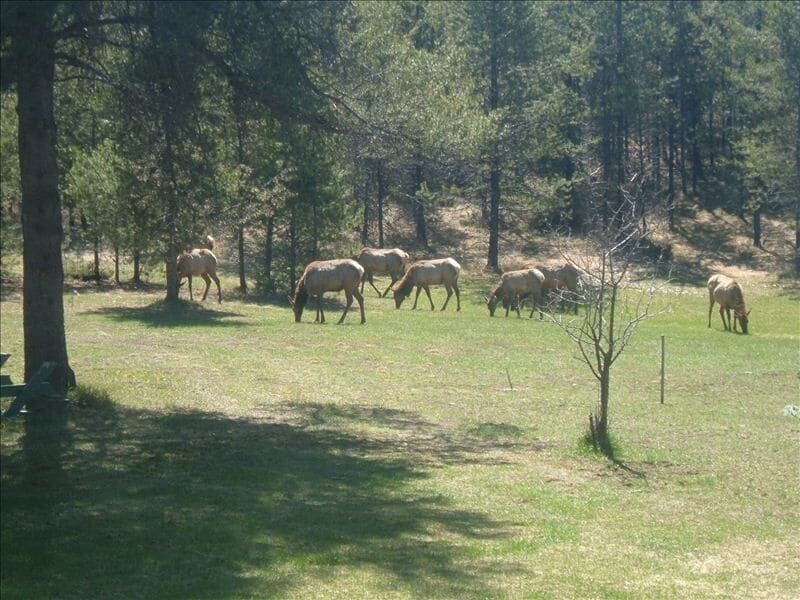 Photo of Outdoor in Coram