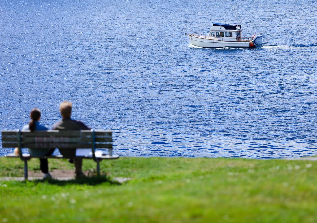 Photo of Others in Squire Park