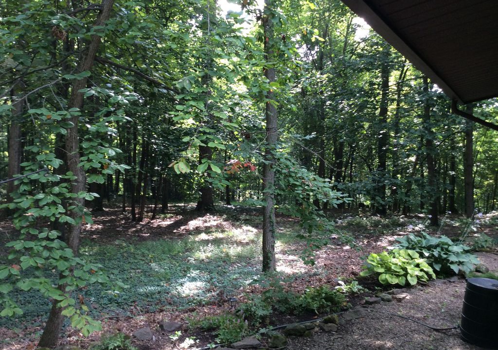Photo of Others in Perrysville