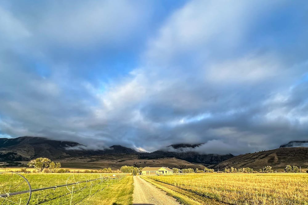 Photo of Outdoor in Livingston