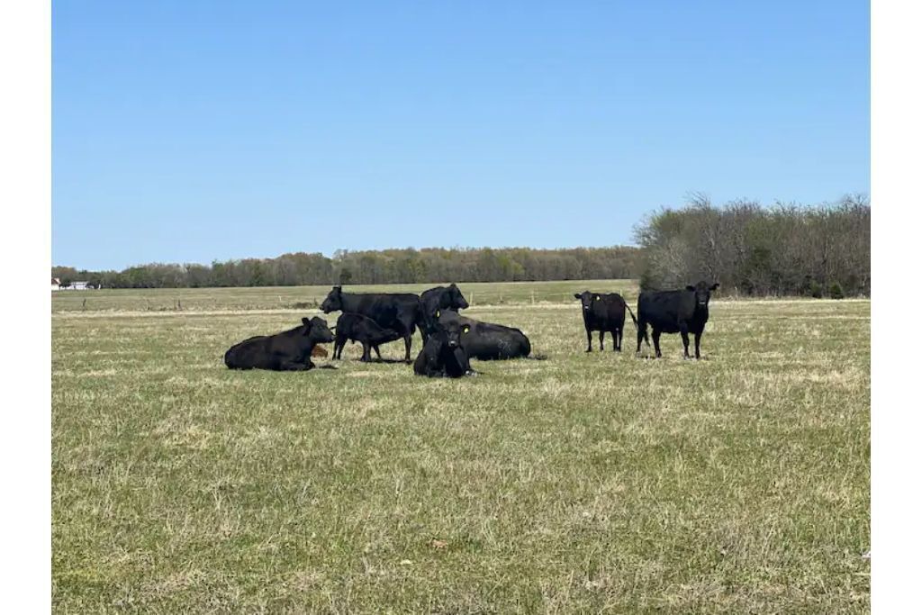 Photo of Outdoor in Klondike
